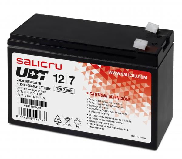 Salicru 013BS000001