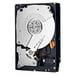 Western Digital WD4500BKHG