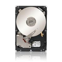 Seagate ST3500514NS