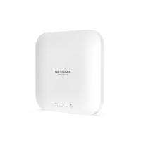Netgear WAX214-100EUS