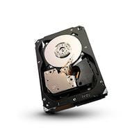 Seagate ST3450857SS