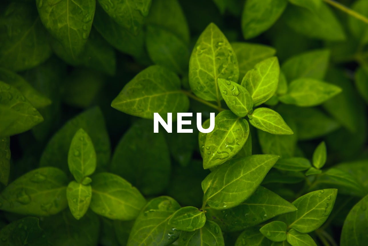 Green IT Zustand Neu