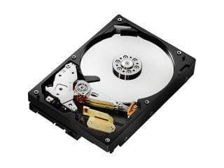 Western Digital WD4002FYYZ