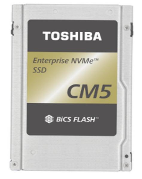 Kioxia KCM51VUG3T20