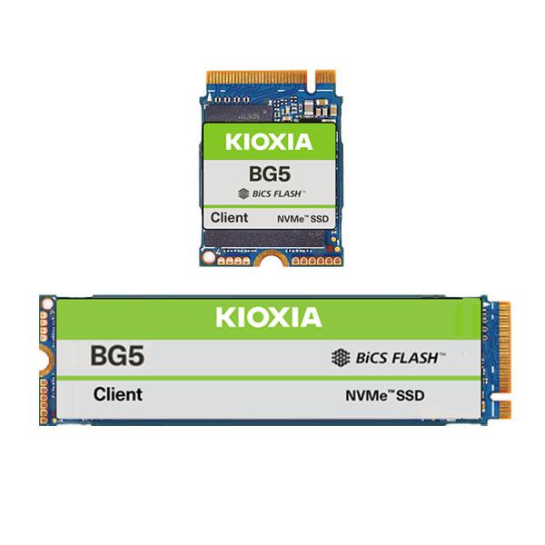 Kioxia KBG50ZNV256G