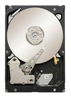 Seagate ST31000524NS