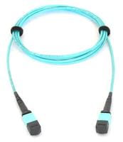 Allied Telesis AT-MTP12-5