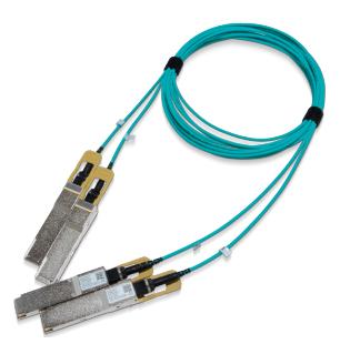 Mellanox MFS1S90-H020E