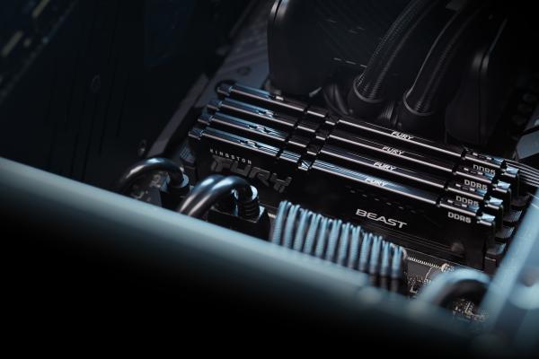 Kingston KF556C40BB-8