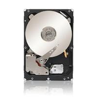 Seagate ST2000NM0023