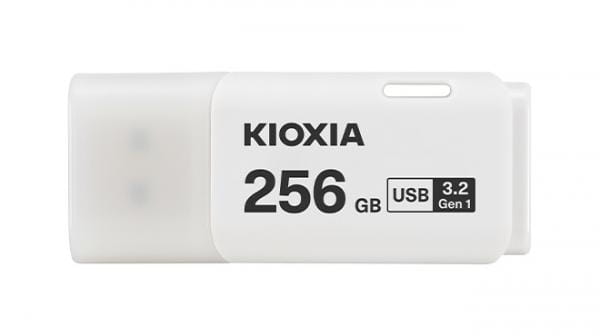 Kioxia LU301W256GG4