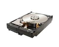 Seagate ST32000644NS