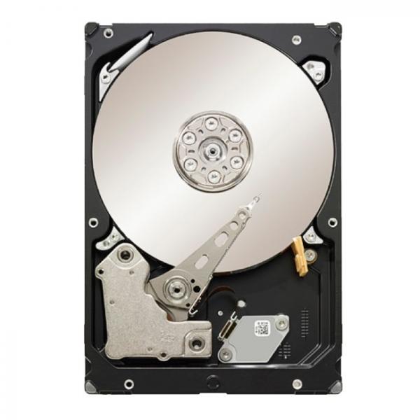 Supermicro HDD-A1000-ST31000424SS