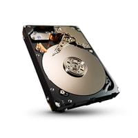 Seagate ST300MM0006
