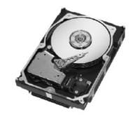 Seagate ST373207LC